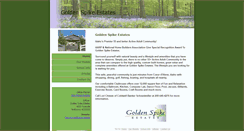 Desktop Screenshot of goldenspikeestates.homesandland.com