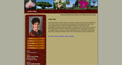 Desktop Screenshot of judieudey.homesandland.com
